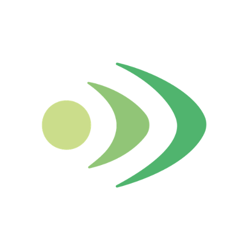 Echo Vision icons